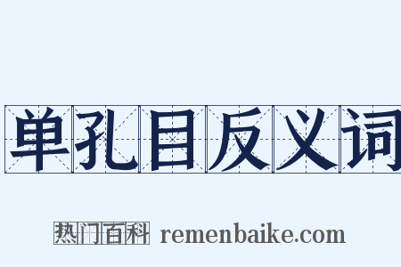 单孔目反义词是什么意思的图片